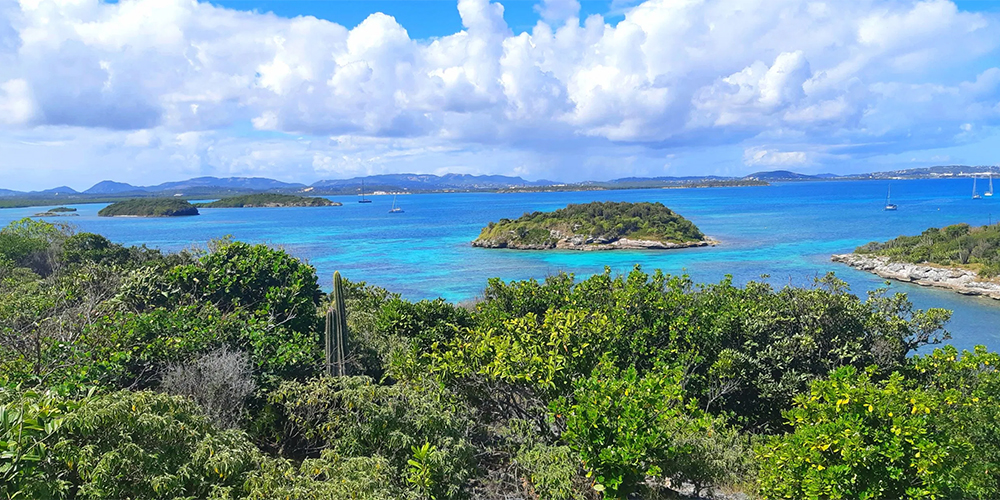 Great Bird Island